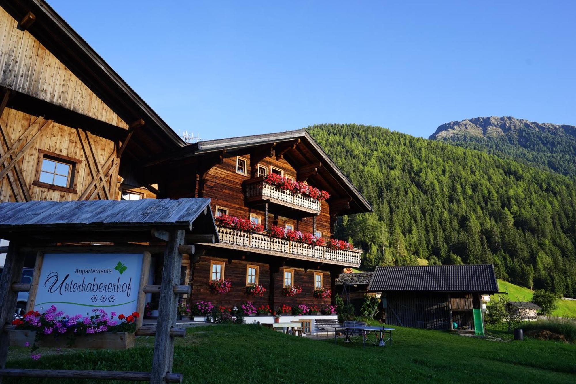 Unterhabererhof Apartment Santa Maddalena in Casies Luaran gambar