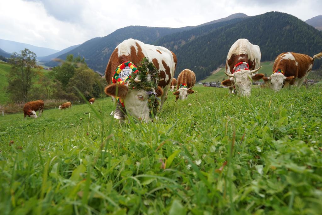 Unterhabererhof Apartment Santa Maddalena in Casies Luaran gambar