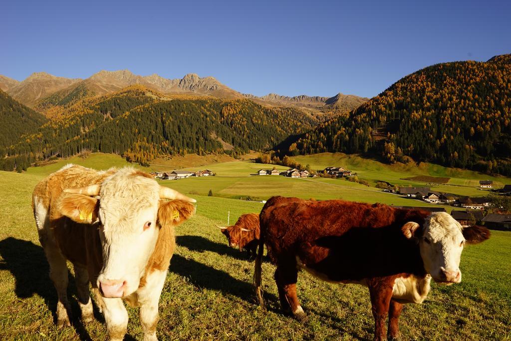 Unterhabererhof Apartment Santa Maddalena in Casies Luaran gambar