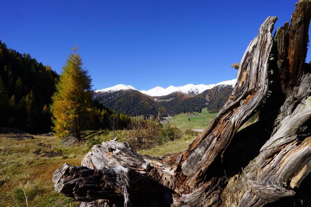 Unterhabererhof Apartment Santa Maddalena in Casies Luaran gambar
