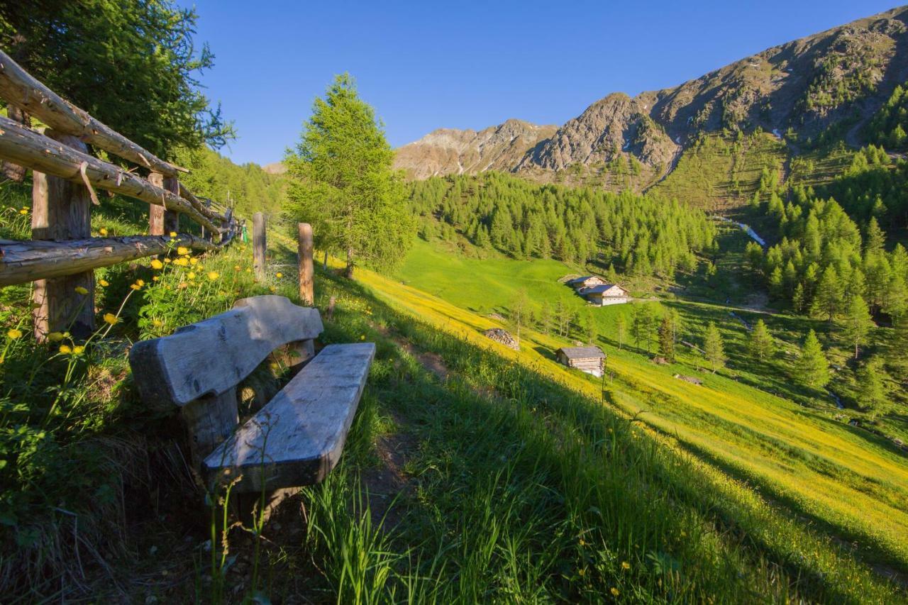 Unterhabererhof Apartment Santa Maddalena in Casies Luaran gambar